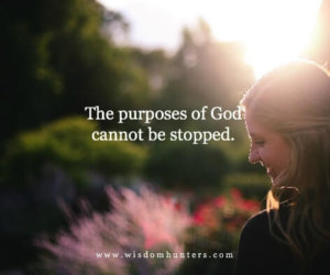 Persevering Purpose 7.30