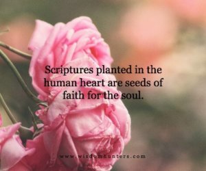 Scripture’s Timeless Truth  8.31