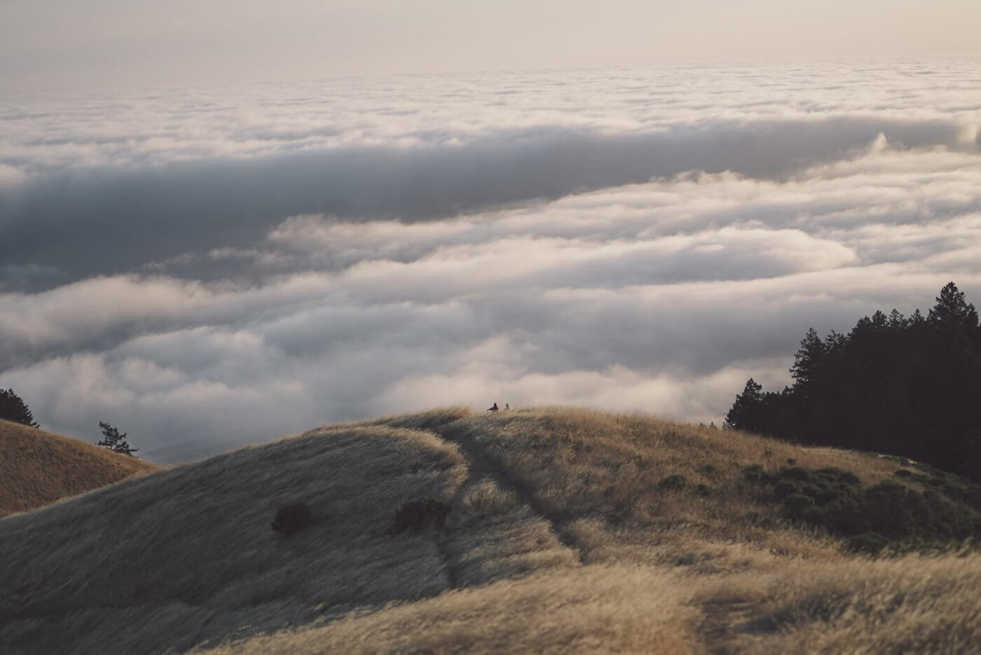 Kevin Wolf 1052743 Unsplash Wisdom Hunters Kevin Wolf 1052743 Unsplash Wisdom Hunters