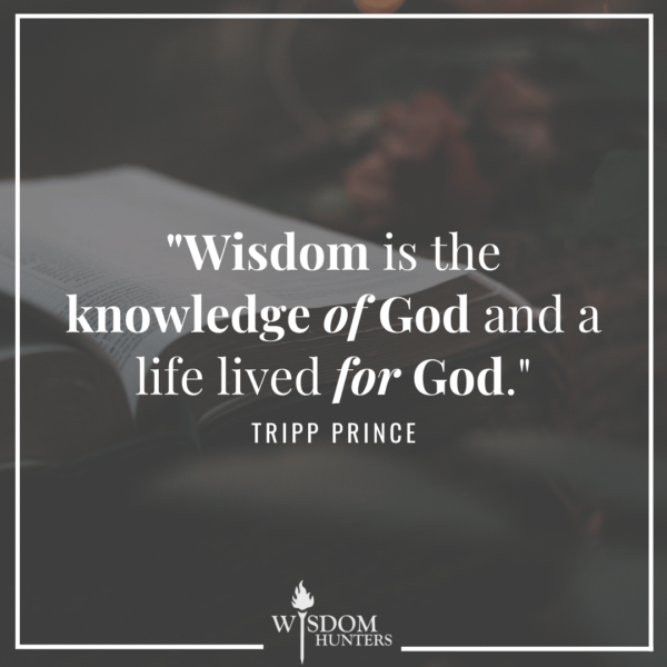 Meaning wisdom Wisdom (Stanford