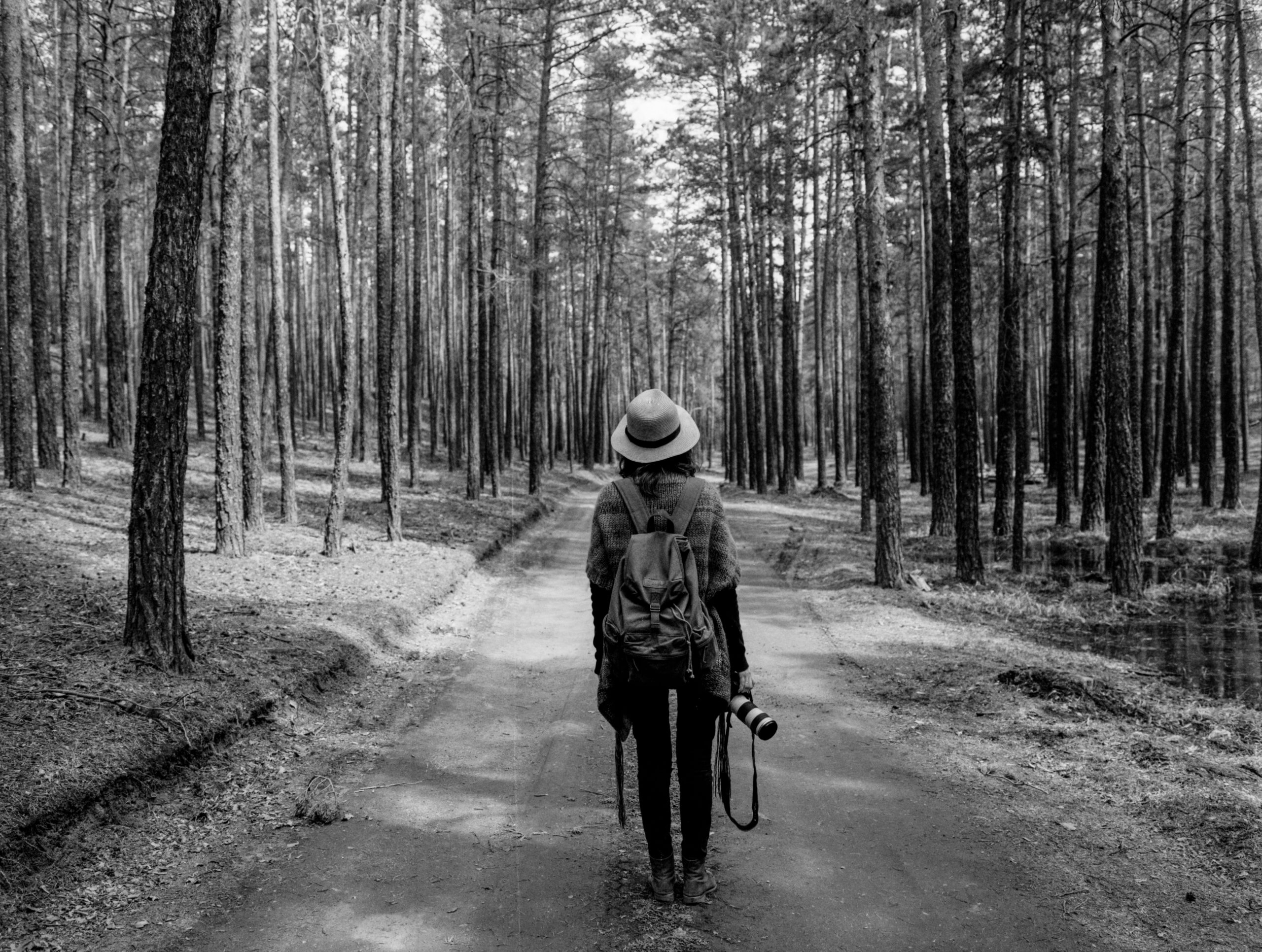 Alexey Demidov 7eulkyfzfeu Unsplash Wisdom Hunters Alexey Demidov 7eulkyfzfeu Unsplash Wisdom Hunters