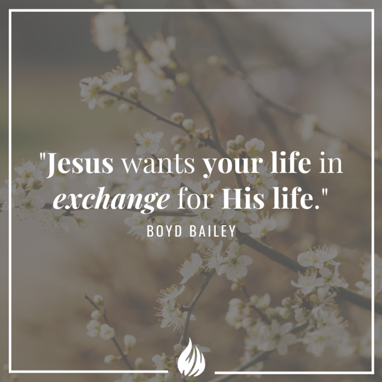 New Life in Christ Wisdom Hunters